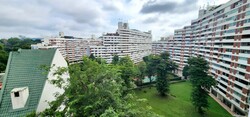 Pandan Valley (D21), Condominium #533231151